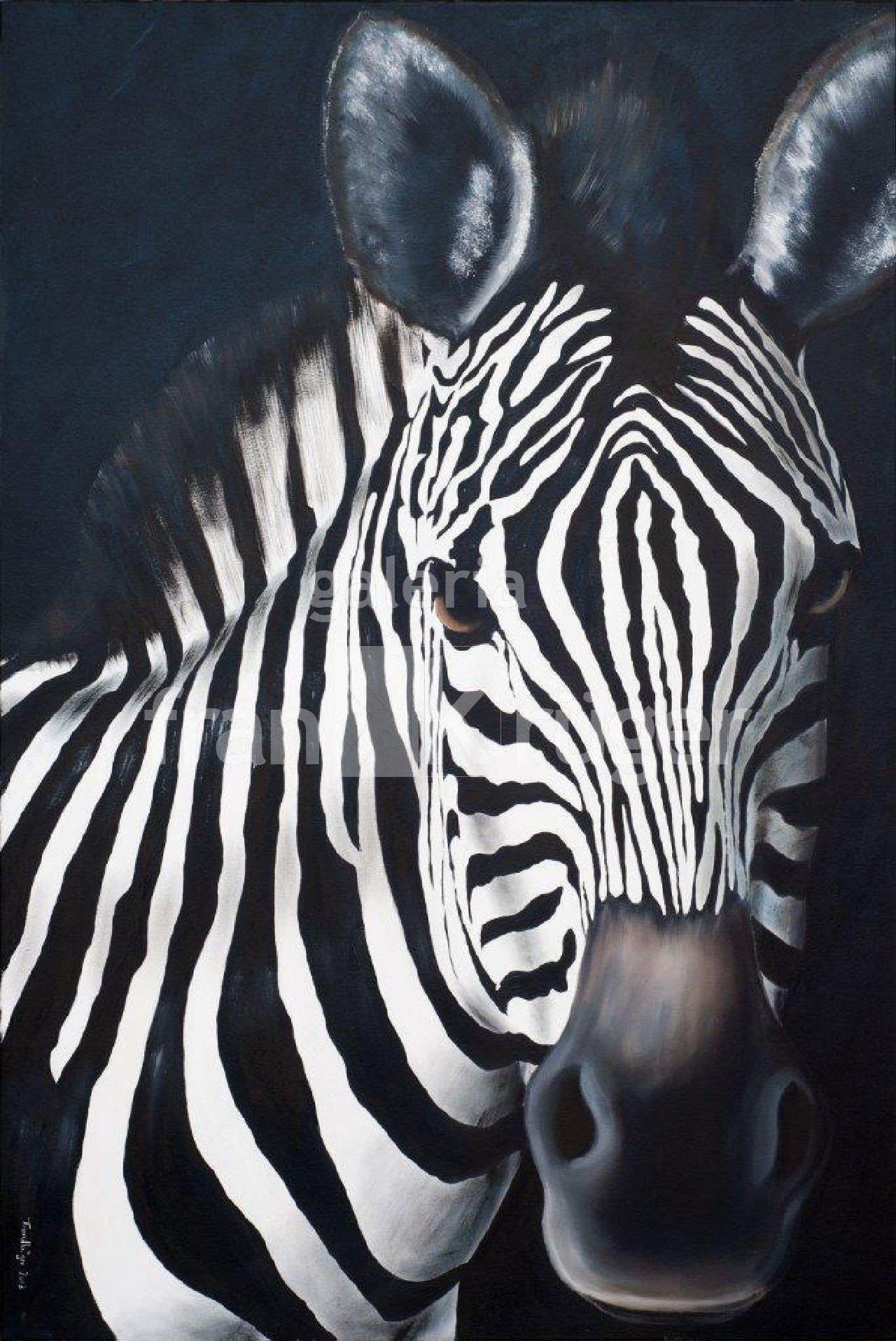 Zebrabild - Frank Krüger Kunstdruck Zebra - auf - Leinwand